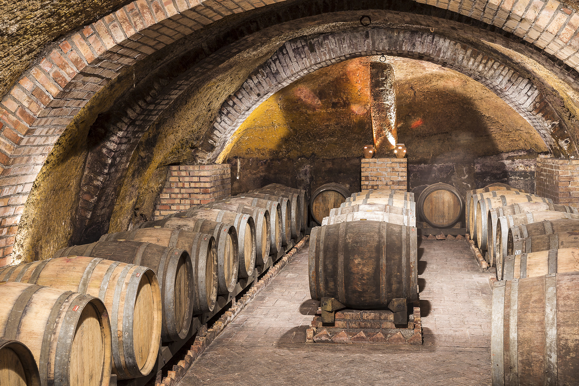 Basilicata da bere e da mangiare: itinerario enogastronomico alle Cantine del Notaio